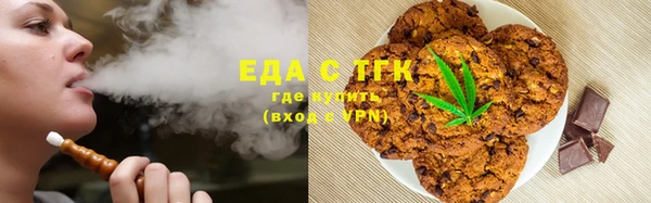 PSILOCYBIN Ельня