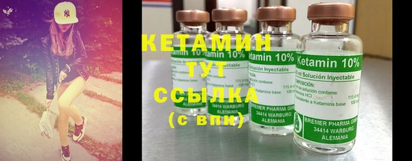 PSILOCYBIN Ельня