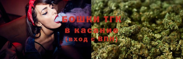 PSILOCYBIN Ельня
