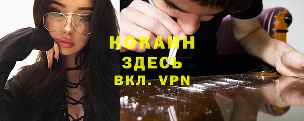 мдпв Елизово