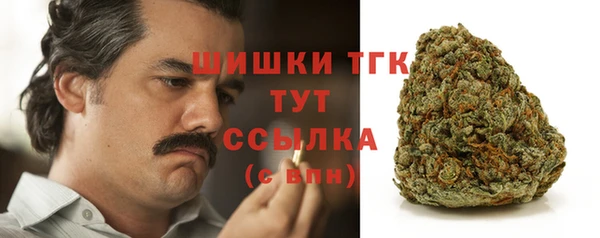 мдпв Елизово