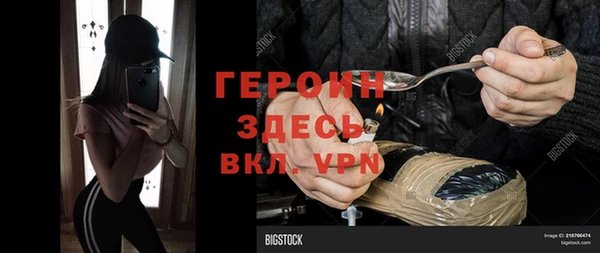 PSILOCYBIN Ельня