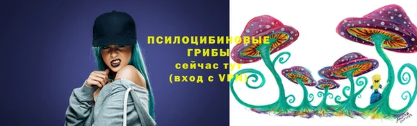 гидропоника Елабуга