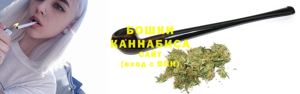 гидропоника Елабуга