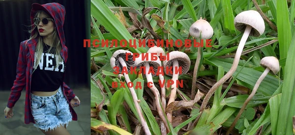 PSILOCYBIN Ельня