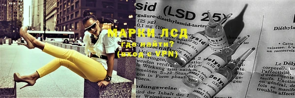 PSILOCYBIN Ельня