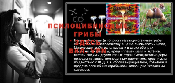 PSILOCYBIN Ельня