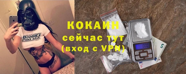 PSILOCYBIN Ельня