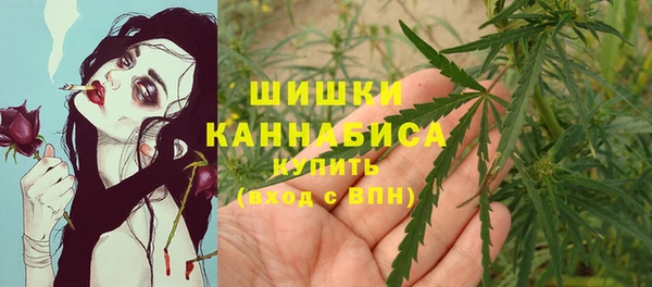 мдпв Елизово