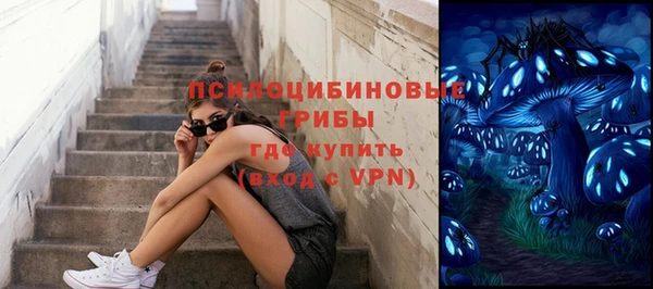 PSILOCYBIN Ельня