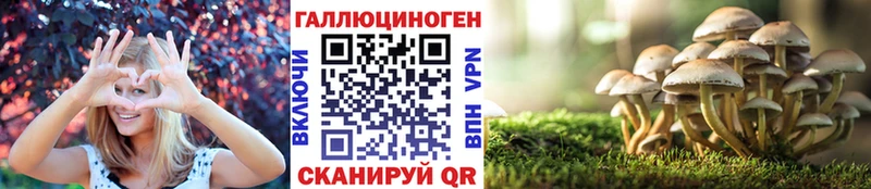 Купить  Жуковский  Галлюциногенные грибы прущие грибы 